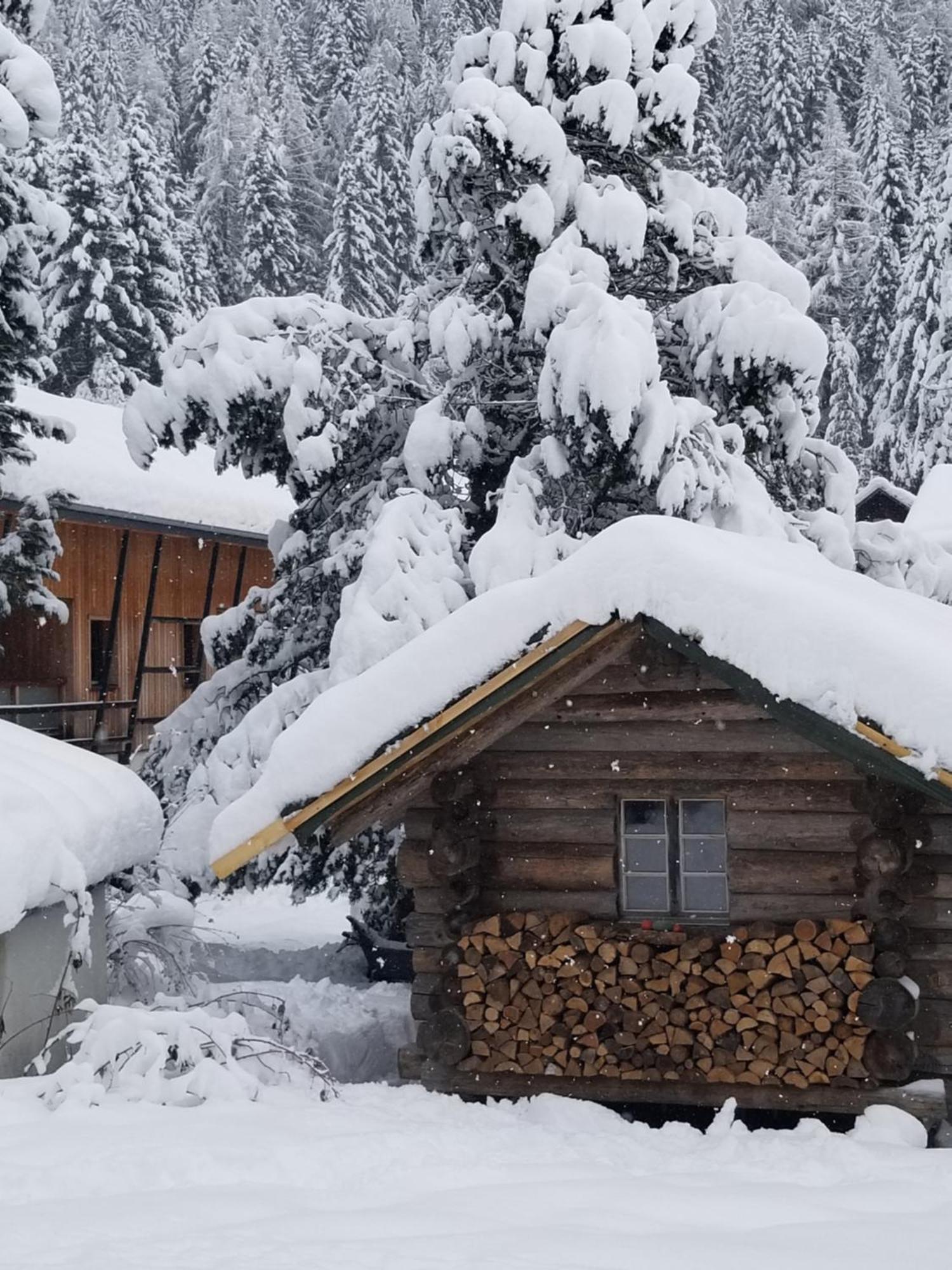 Chalet Walser A Vallorcine 13 Kms Chamonix France Eksteriør billede