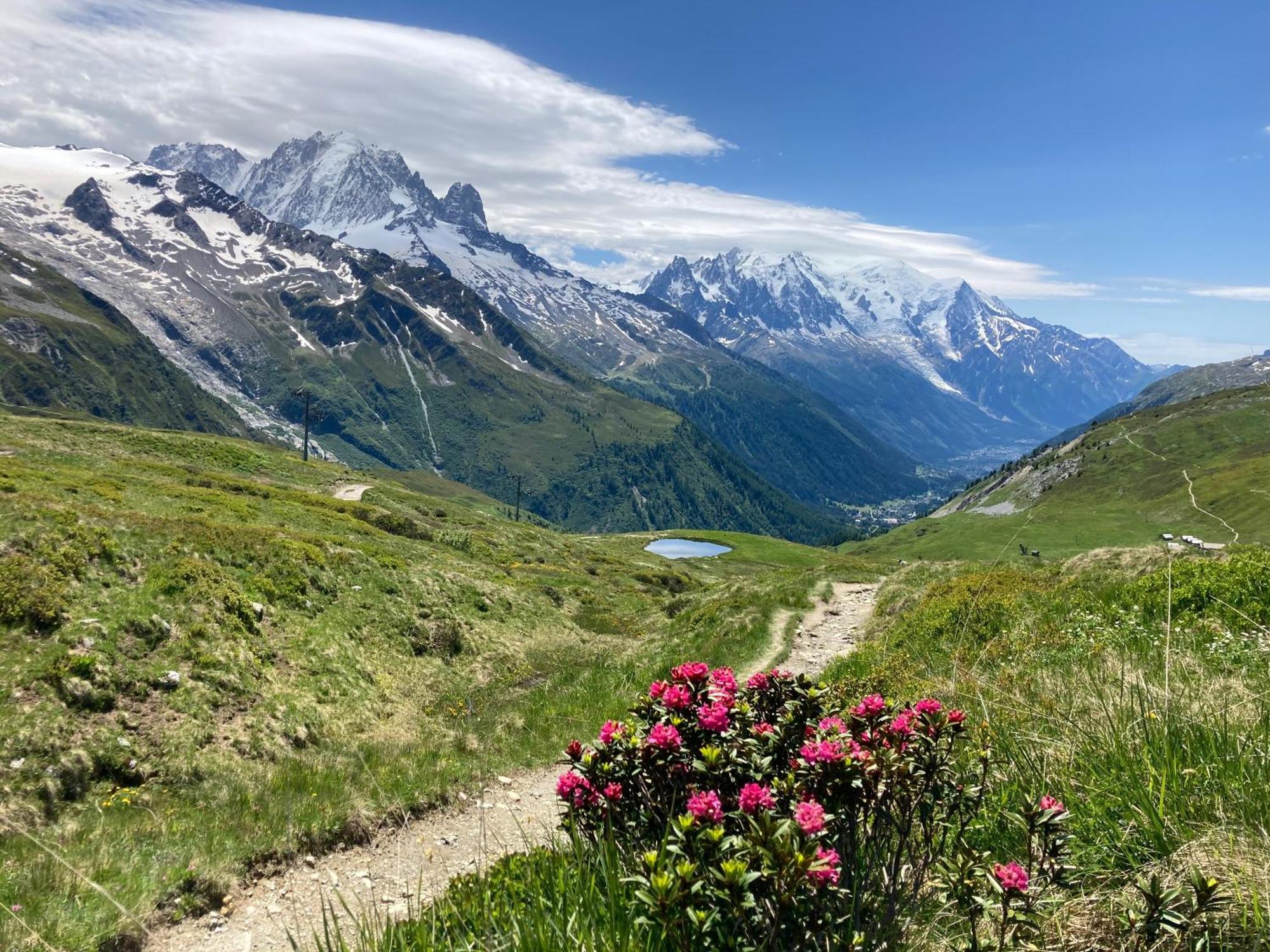 Chalet Walser A Vallorcine 13 Kms Chamonix France Eksteriør billede